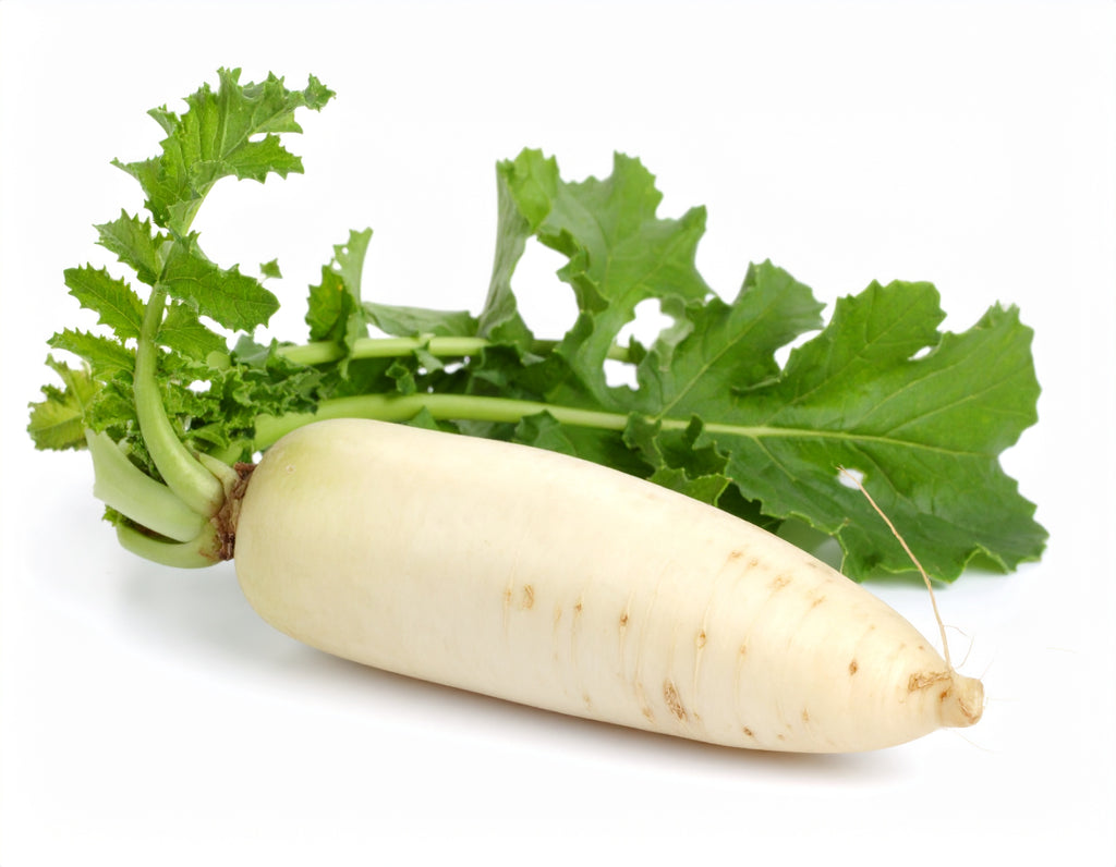 Weißer Rettich