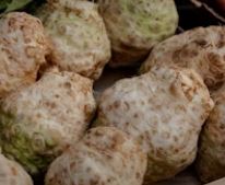 Knollensellerie lose mit Grün