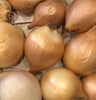Große Zwiebeln - 5 kg
