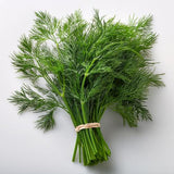 Dill, 5 Bund