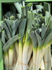 Bio Porree, 10 kg