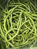 Bio Buschbohnen, grün