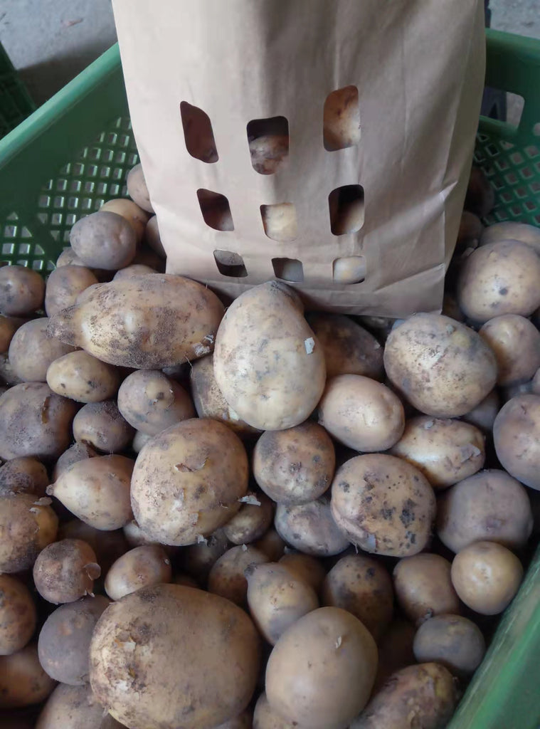Kartoffeln Bio, 12,5 kg