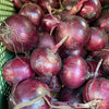 Bio Zwiebeln, rot