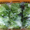 Salatblätter, 500 g Tüte