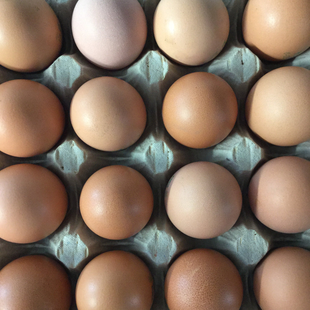 Demeter Bio Eier, Größe XL,Klasse A, BID,  lose 30 er Eierhöcker
