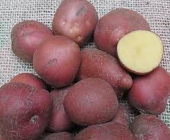 2,5 kg Netz Bio Kartoffel Alouette